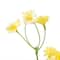 12 Pack: Yellow Mini Daisy Spray by Ashland&#xAE;